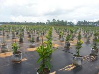 Woven Weed Barrier Ground Cover Mat