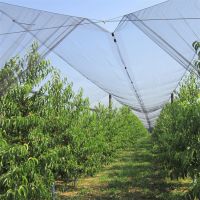 Hdpe anti hail net Orchard screenhouse