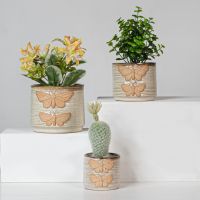 Factory Direct Terracotta Pots Classic Ceramic