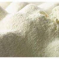 FULL CREAM AND SKIMMED MILK POWDER AND SELLING