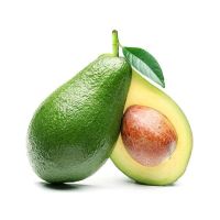 FRESH AVOCADO HIGH QUALITY And BEST