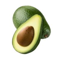FRESH AVOCADO With HIGH QUALITY And