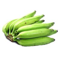 Tropical Green Banana Farming