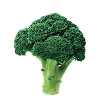 Fresh Broccoli For Sale