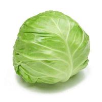 Fresh Green Cabbage