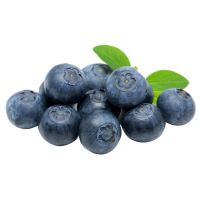 Blueberry Fruits For Sale Bulk