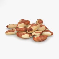 Brazil Nut Tree For Sale Australia