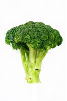 Fresh Broccoli Suppliers And Suppliers