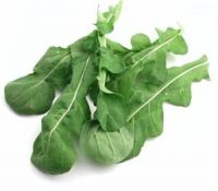 arugula leaf suppliers ghana