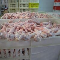 Bulk Frozen Chicken Feet / Chicken Paws For Sale