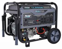 Pulsar 12000 Watt Portable Dual Fuel