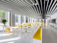 Curved Ceiling Design Custom Aluminum Fireproof