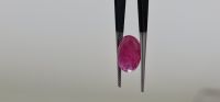 Natural Mozambique Ruby unheated 