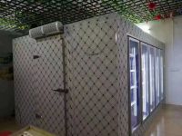 Cold Room Quick-freezing Equipment Cold
