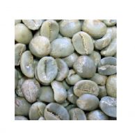 Robusta coffee beans