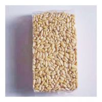 Premium Quality Organic Pine Nuts For