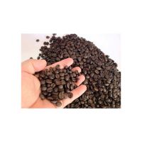 Wholesale Castor Seeds For Animal Feed