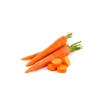 Freshly Harvested Carrots For Restaurants And
