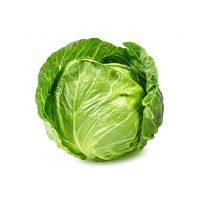 Non-GMO Fresh Cabbage For Export