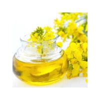 Affordable Refined Rapeseed Oil For Supermarkets