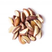 Freshly Harvested Brazilian Nuts For Sale