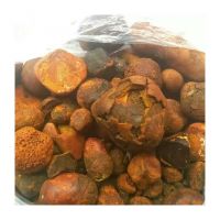 Authentic Ox Gallstones For Traditional Healing