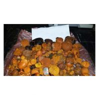 Hand-selected Ox Gallstones For Maximum
