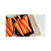 Washed And Trimmed Carrots Ready For