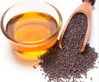 Freshly Harvested Rapeseed Ensuring Maximum Oil