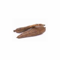 Nutrient-rich Cassava For Human Consumption