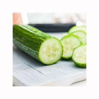 Wholesale Cucumbers Available For Retailers And