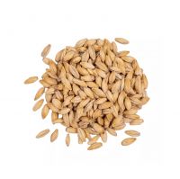 Premium Quality Barley Malt Available For