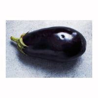 Fresh Eggplant Available For Bulk Supply
