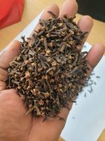 Cloves