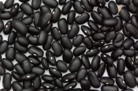 Beans