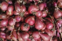 Shallots (Grade A