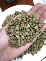 Robusta coffee beans