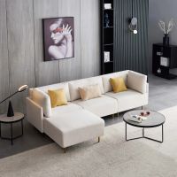 Modern Designed Sectional In Affordable Prices
