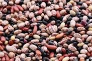 Quality Red And Black Beans For