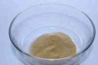 Xylanase