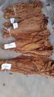 Tobacco