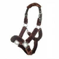 Horse Halter 