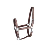 Horse Halter 