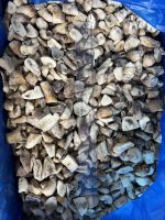 Frozen  Boletus Edulis