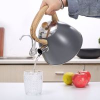 Stainless Steel Whistling Tea Kettle Whistling