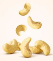 Primary Cashew
