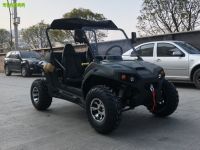 200cc UTV Electric Start Gasoline Go