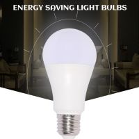 Lamps (multiple Types To Choose From