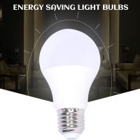 Lamps (multiple Types To Choose From