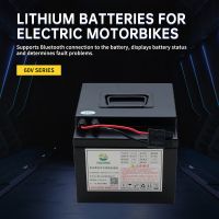 Nizong 60V Series Lithium Battery For